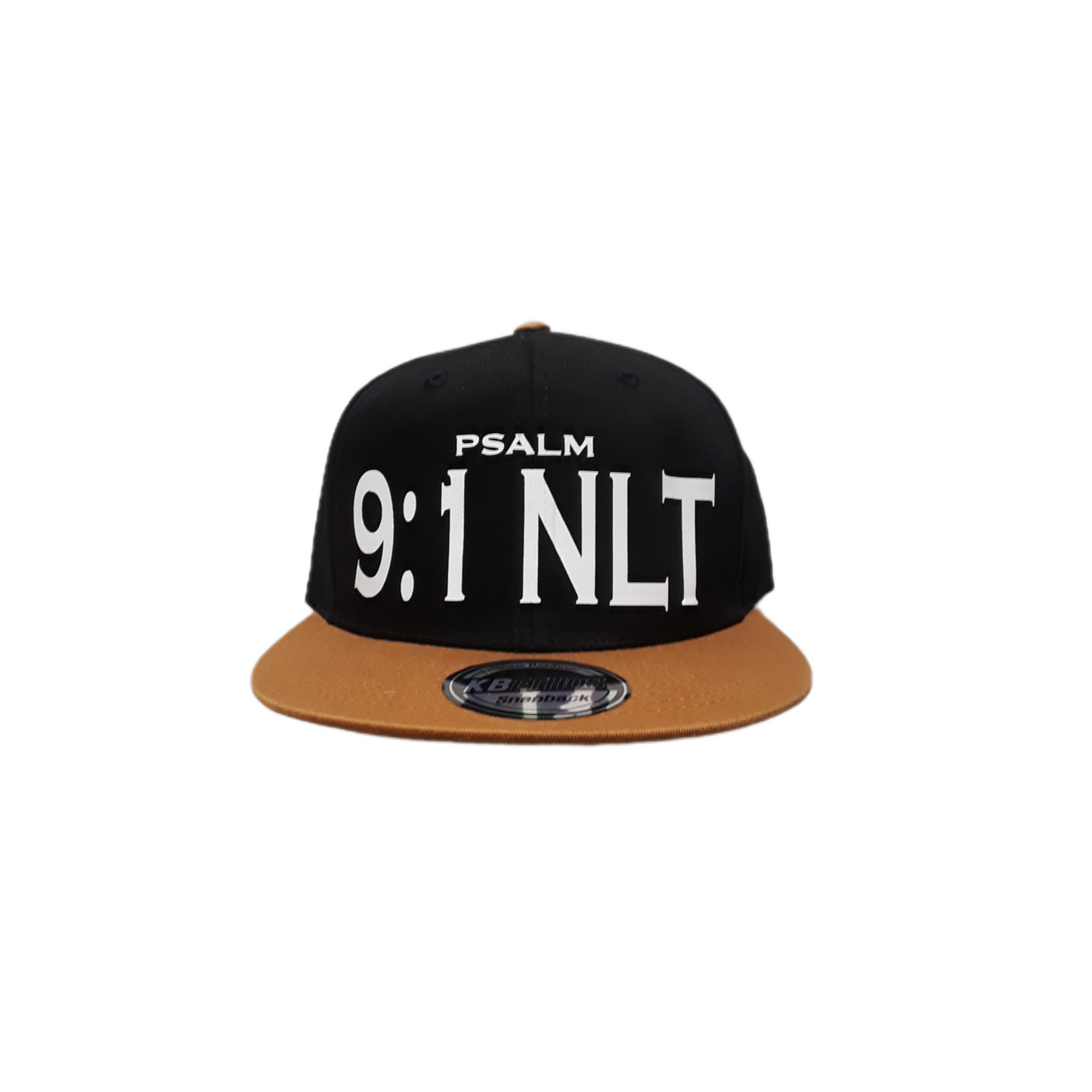 Psalm 9:1 Ball hat